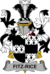 Irish Coat of Arms for Fitz-Rice