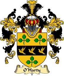 Irish Family Coat of Arms (v.25a) O