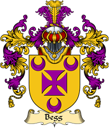 Irish Family Coat of Arms (v.25a) Begg