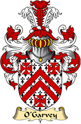 Irish Family Coat of Arms (v.23) for O