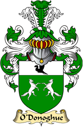 Irish Family Coat of Arms (v.23) for O