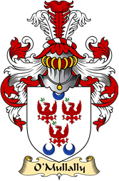 Irish Family Coat of Arms (v.23) for O