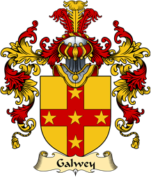 Irish Family Coat of Arms (v.25a) Galwey