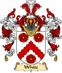 Irish Family Coat of Arms (v.25a) White or Whyte