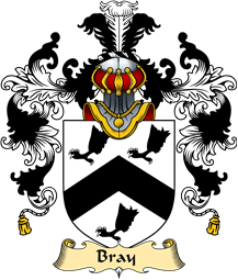 Irish Family Coat of Arms (v.25a) Bray