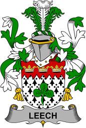 Irish Coat of Arms for Leech