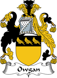 Irish Coat of Arms for Owgan