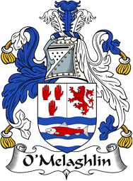 Irish Coat of Arms for O