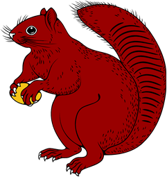 Squirrel Sejant Holding Nut