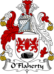 Irish Coat of Arms for O