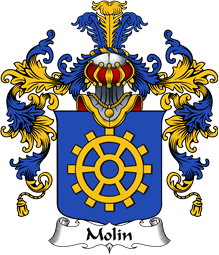 Italian Family Coat of Arms (v.25b) Molin