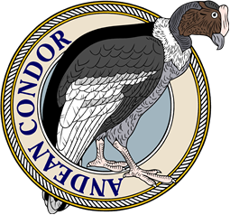 Andean Condor-M