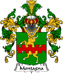 Italian Family Coat of Arms (v.25b) Montagna