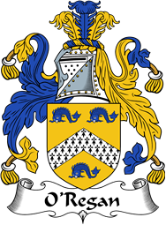 Irish Coat of Arms for O