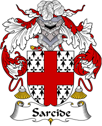 Portuguese Coat of Arms for Sarcide