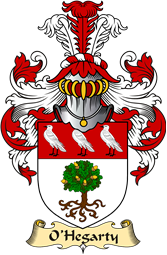 Irish Family Coat of Arms (v.23) for O