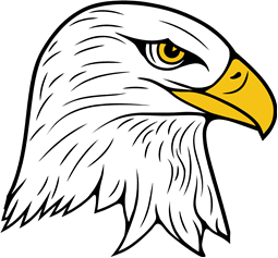 Bald Eagle Head