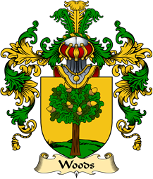 Irish Family Coat of Arms (v.25a) Woods