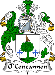 Irish Coat of Arms for O