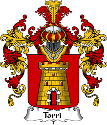 Italian Family Coat of Arms (v.25b) Torri
