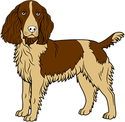 Spaniel Statant Guardant