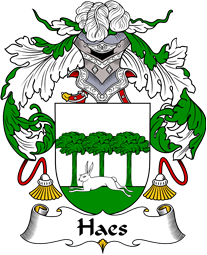 Portuguese Coat of Arms for Haes or Hasse