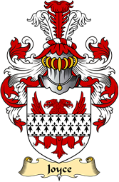 Irish Family Coat of Arms (v.23) for Joyce