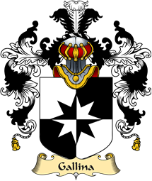 Italian Family Coat of Arms (v.25a) Gallina