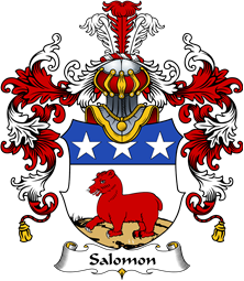 German Wappen Coat of Arms (v.25) Salomon