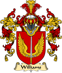 Irish Family Coat of Arms (v.25a) Williams