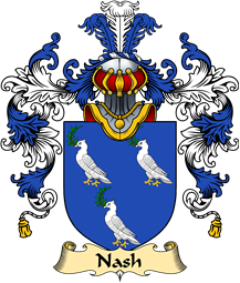 Irish Family Coat of Arms (v.25a) Naish or Nash