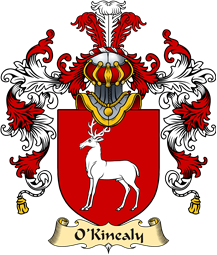 Irish Family Coat of Arms (v.25a) O