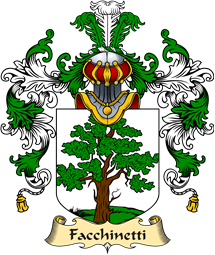 Italian Family Coat of Arms (v.25a) Facchinetti