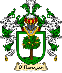 Irish Family Coat of Arms (v.25a) O