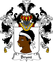 Italian Family Coat of Arms (v.25b) Bruni