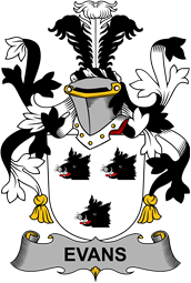Irish Coat of Arms for Evans
