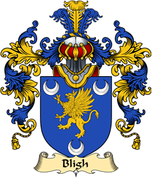 Irish Family Coat of Arms (v.25a) Bligh