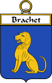 French Coat of Arms Badge for Brachet