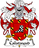 Portuguese Coat of Arms for Calatayud