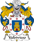 Spanish Coat of Arms for Valdivieso