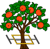 Orange Tree Traversed by Frame-Saw