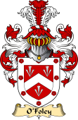 Irish Family Coat of Arms (v.23) for O'Foley