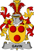 Irish Coat of Arms for Gavin or O'Gavan