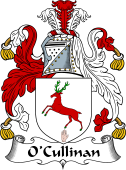 Irish Coat of Arms for O'Cullinan