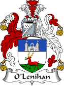 Irish Coat of Arms for O'Lenihan or Lenaghan