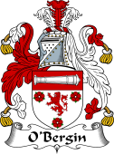 Irish Coat of Arms for O'Bergin