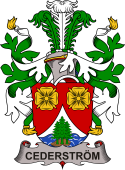 Swedish Coat of Arms for Cederström