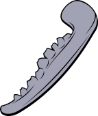 Bone (Jaw)