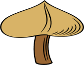 Mushroom