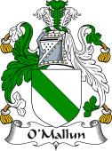 Irish Coat of Arms for O'Mallun or Mullan